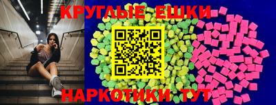 герыч Кингисепп