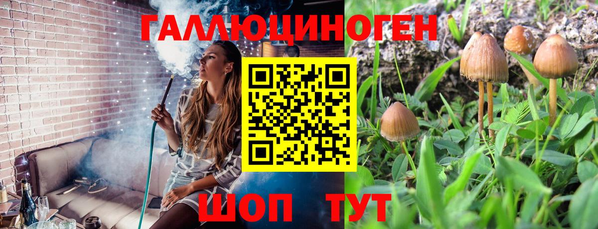 Красный Сулин  Псилоцибиновые грибы ЛСД  Псилоцибиновые грибы мицелий  Вход с VPN 